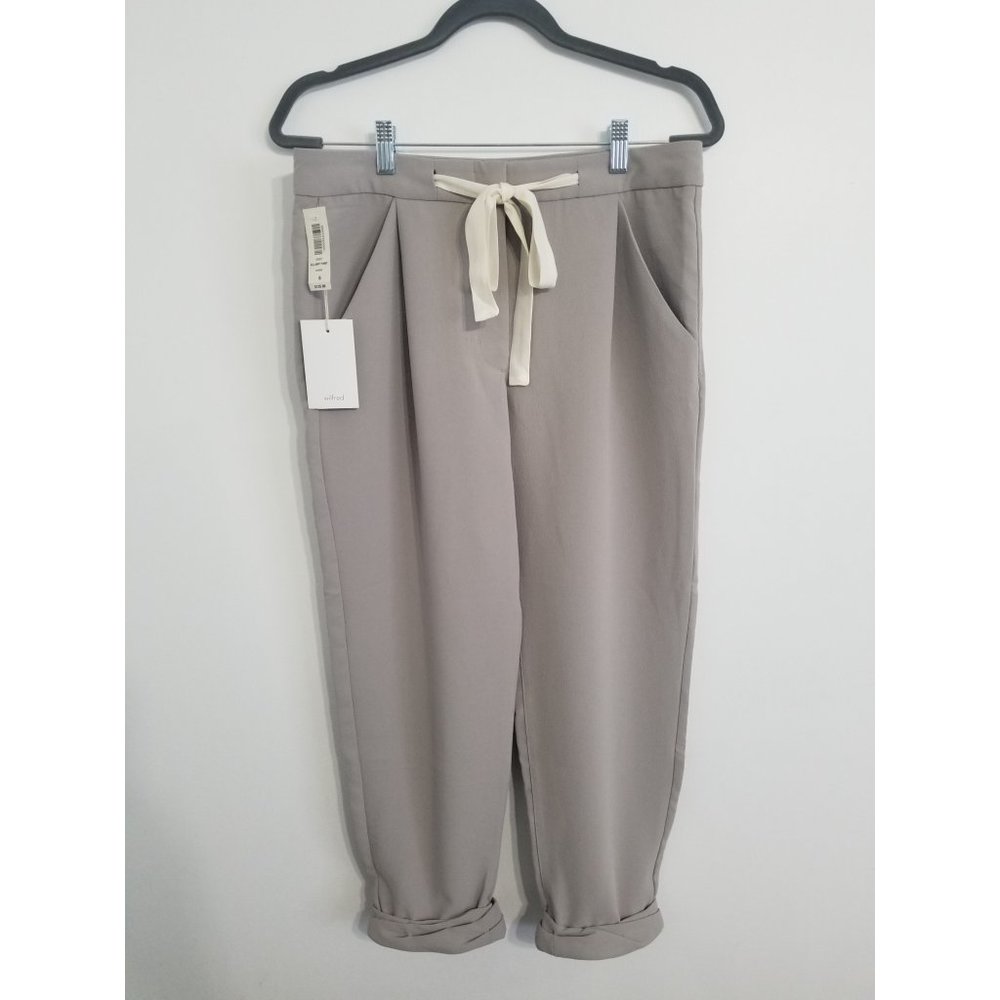 Aritzia Wilfred Allant Pant